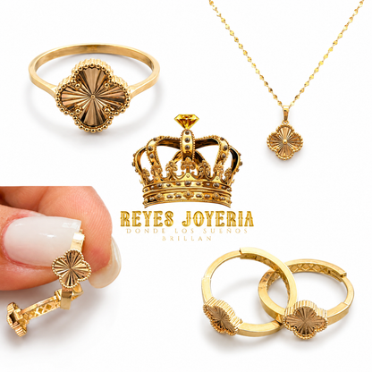 Set con cadena , dije , anillo , argollas por un solo precio