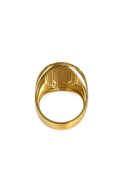Anillo de hombre 10 kt